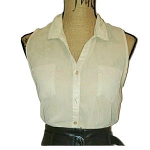 Fun and flirt sheer top